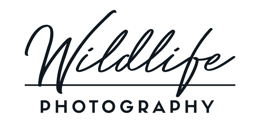 WildlifePix